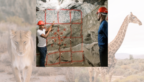 A photo of two men standing next to an underground rock wall, superimposed on photos of a lion and a giraffe