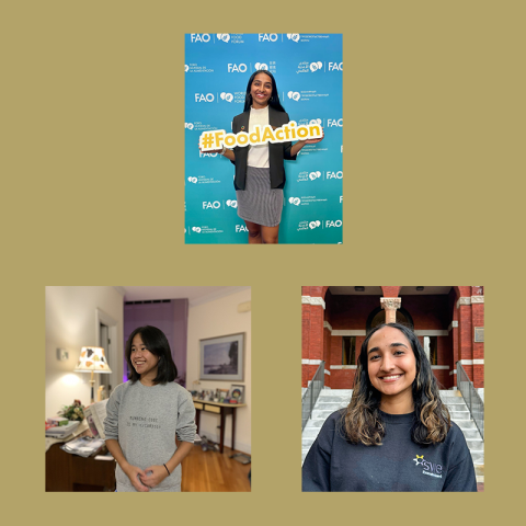 HP Millennium Fellows winners 2024