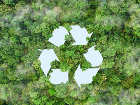 Stock Image: Circular Economy; image credit: Pannipa Tansout/iStock.