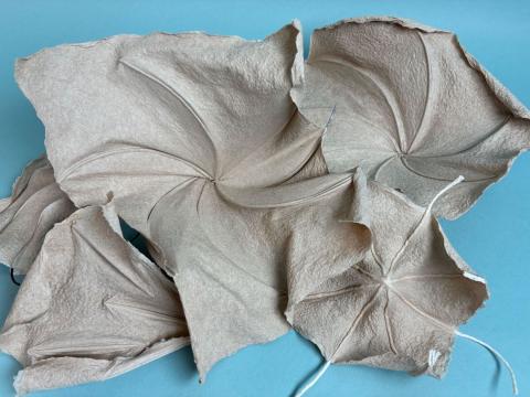 Sculptural Abaca