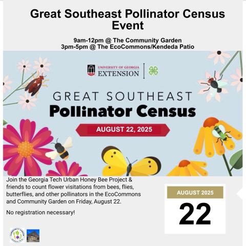Pollinator census graphic