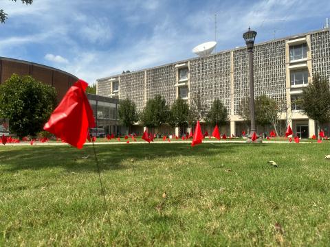 The Red Flag Campaign display on Texas Instrument Plaza