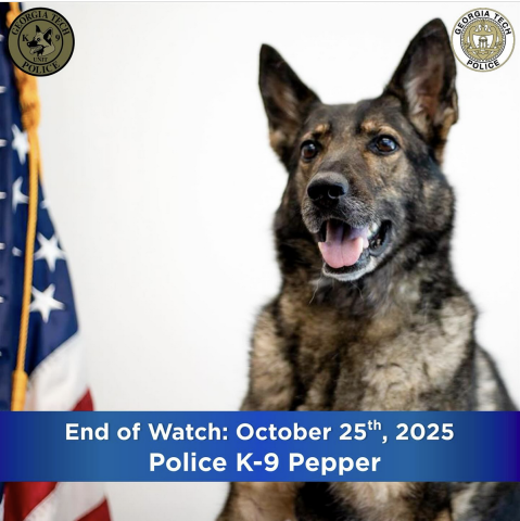 End of Watch for Pepper