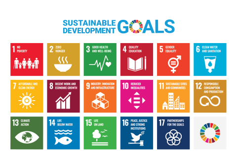 poster of the 17 sustainable development goals