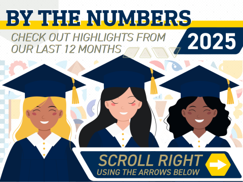 By the numbers main image