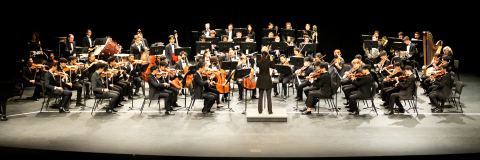 gtso_