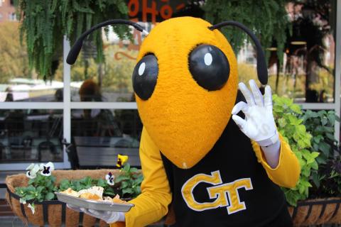 yellow jacket mascot holding plate of tacos