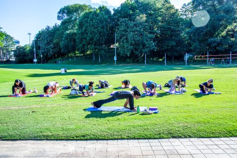 students in yoga pose on green lawn