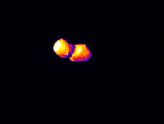 asteroid