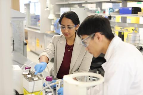 Menon and Huang in the lab