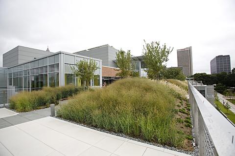 Students acknowledge green initiatives, seek ways to achieve more (Clough roof garden)