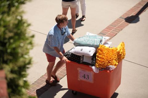 Move-In at North Avenue Apartments