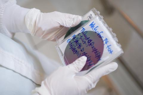 BME Research
