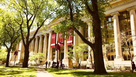 Library at Harvard with blooming green trees in the spring