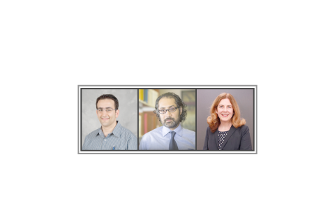 Researchers Turgay Ayer, Jagpreet Chhatwal, and Anne Spaulding focused on the elimination of hepatitis C