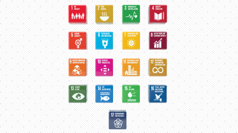 17 colored blocks with each one listing one of the 17 sustainable development goals