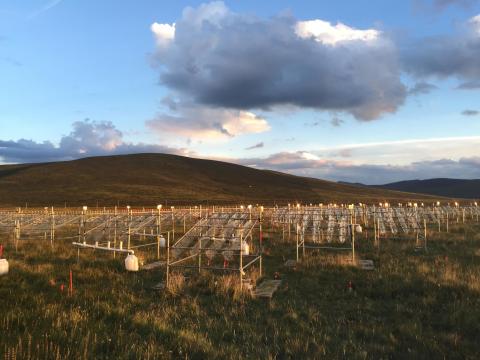 Test plots study the effects of climate change in the Tibetan Plateau