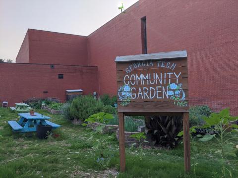 The Georgia Tech Community Garden.