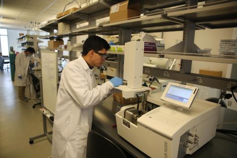Barbosa working in the lab