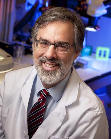 C. Ross Ethier, professor in the Wallace H. Coulter Department of Biomedical Engineering at Georgia Tech and Emory
