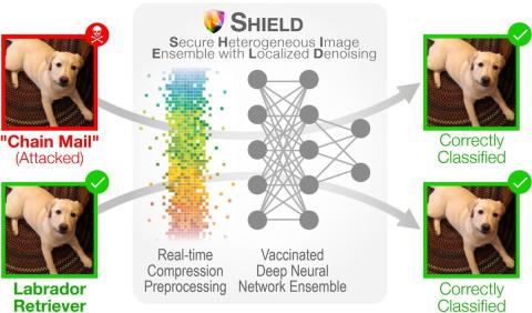 SHIELD - Diagram: Secure Heterogeneous Image Ensemble with Localized Denoising