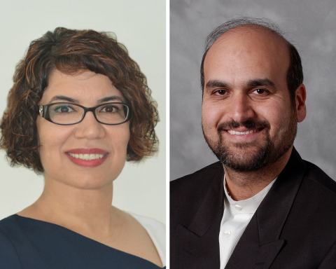 photogrid of Maryam Saeedifard and Ali Adibi