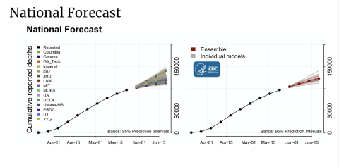 US national death trajectory caused by COVID-19 through June