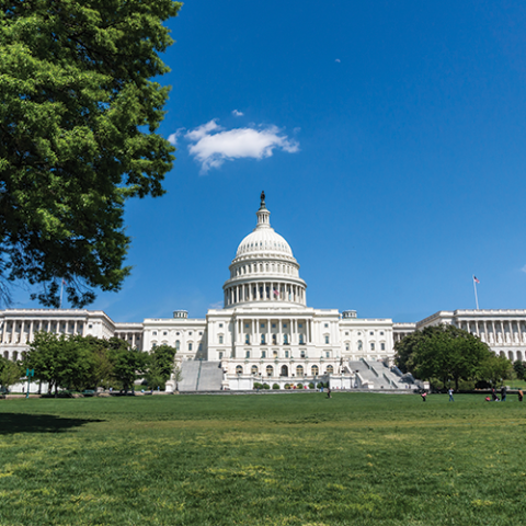 Image of the US Capitol