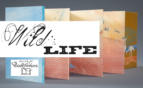 The text "Wild/Life" in an ornate script partially covers a pastel-colored accordion book, with pages spread out. 