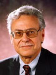 Said Abdel-Khalik