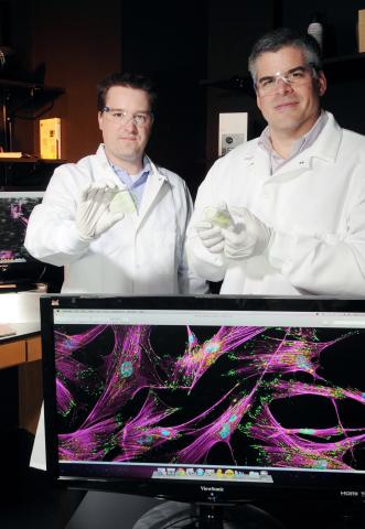 Stem cell separation microfluidics1