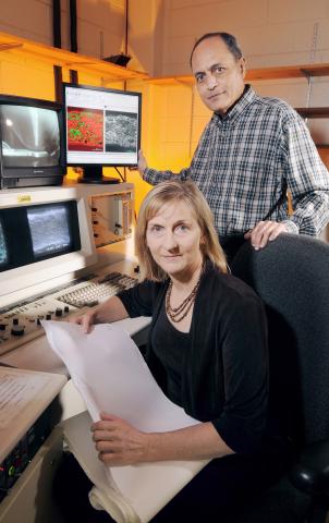 Research Horizons - Adv Manufacturing - using a high resolution scanning electron microscope and energy dispersive X-ray systems