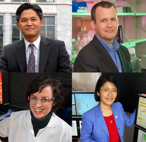 AIMBE fellows 2015