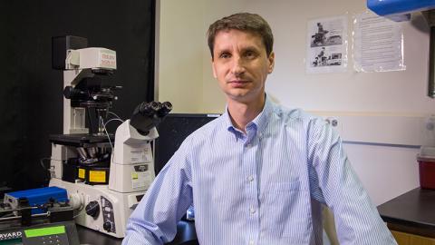 Alexander Alexeev, professor in the School of Mechanical Engineering 