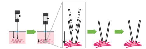 Whole-cell patching robot schematic