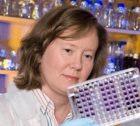 Julia Babensee PhD - Co-director of GTBioMAT program, associate professor in the Wallace H. Coulter Department of Biomedical Engineering