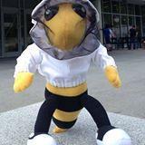 beekeeper buzz