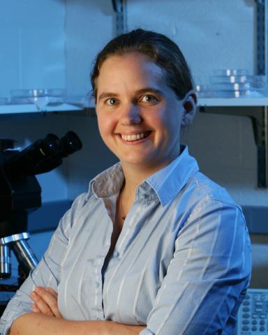 Sarah Bergbreiter
