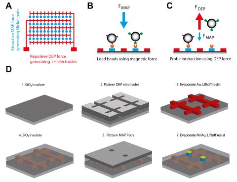 Biomolecular tweezers figure
