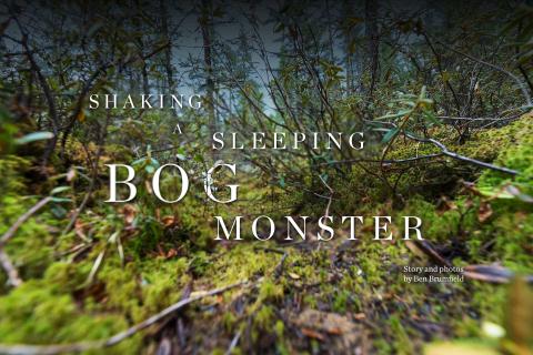 bog monster story