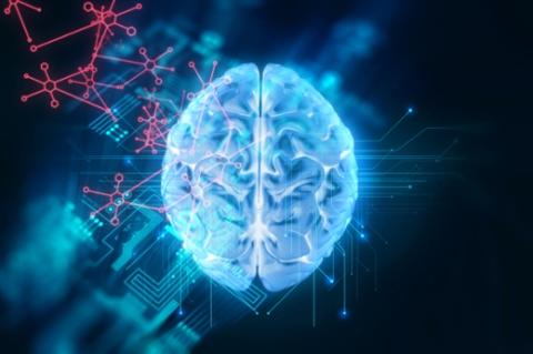 Brain Picture - illustration
