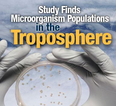 Bugs in Troposhpere