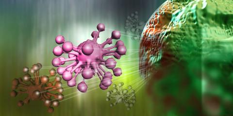 Cancer Cells