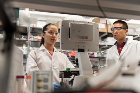 Researchers work in a cell manufacturing lab at Georgia Tech