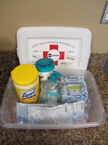 Cold and flu prevention kit
