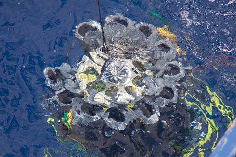 Deep sea microbe collector