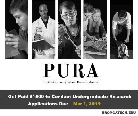 Photos of students conducting research