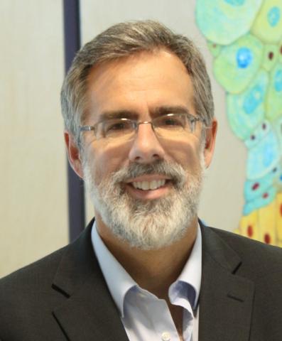 C. Ross Ethier, Professor, Georgia Research Alliance Lawrence L. Gellerstedt, Jr. Eminent Scholar in Bioengineering, and interim chair for BME