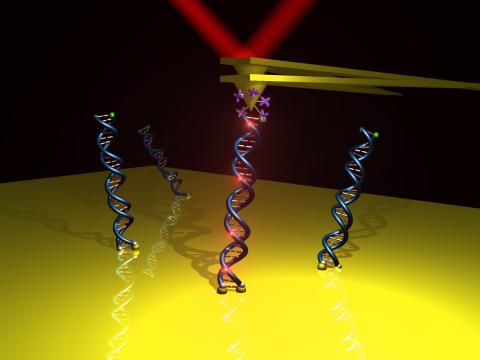 Nanoscale