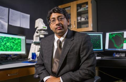 Ravi Bellamkonda